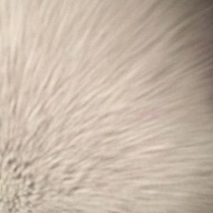 Meet your Posher, Mariah